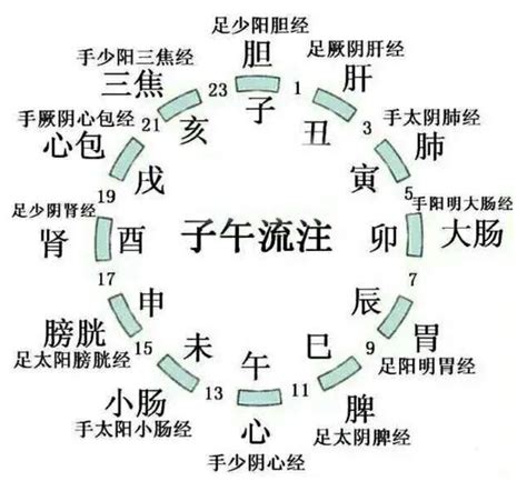 地支歌|十二地支歌 – 天干地支之长生化合冲歌